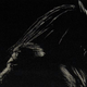 Illustration for article titled 2 Minutes Of Footage From Robert Rodriguez's New Predators